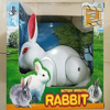 Picture of Rabbit game