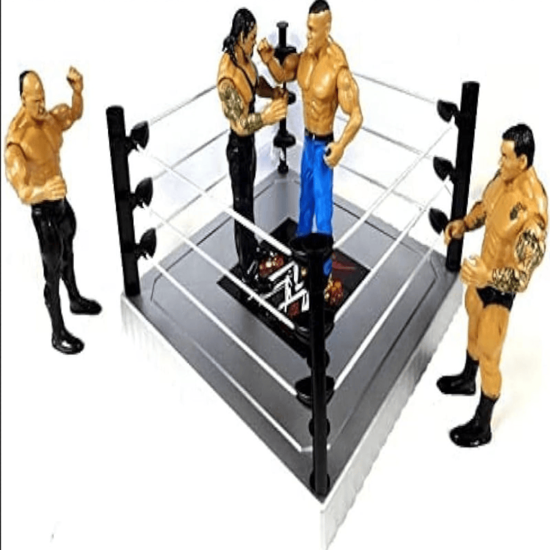 Picture of Wrestling game