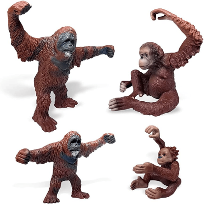 Picture of Monkey Models