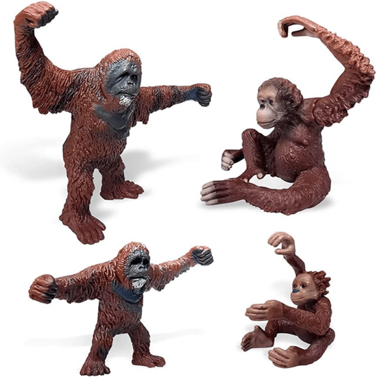 Picture of Monkey Models