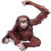 Picture of Monkey Models
