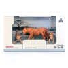 Picture of Lion Models