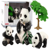 Picture of Panda Models