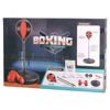 Picture of boxing set