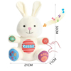 Picture of The Interactive Rabbit