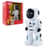 Picture of PROCRAMMING ROBOT