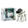 Picture of The robot dog