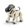 Picture of The robot dog