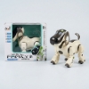Picture of The robot dog